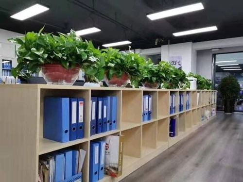 西安咸陽(yáng)及周邊地區(qū)公司注冊(cè)與專(zhuān)業(yè)服務(wù)全解析 從工商注冊(cè)到代理記賬、審計(jì)、食品勞務(wù)派遣